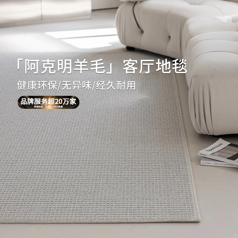 新西兰进口羊毛客厅地毯轻奢高级感极简沙发茶几地垫耐脏2025新款