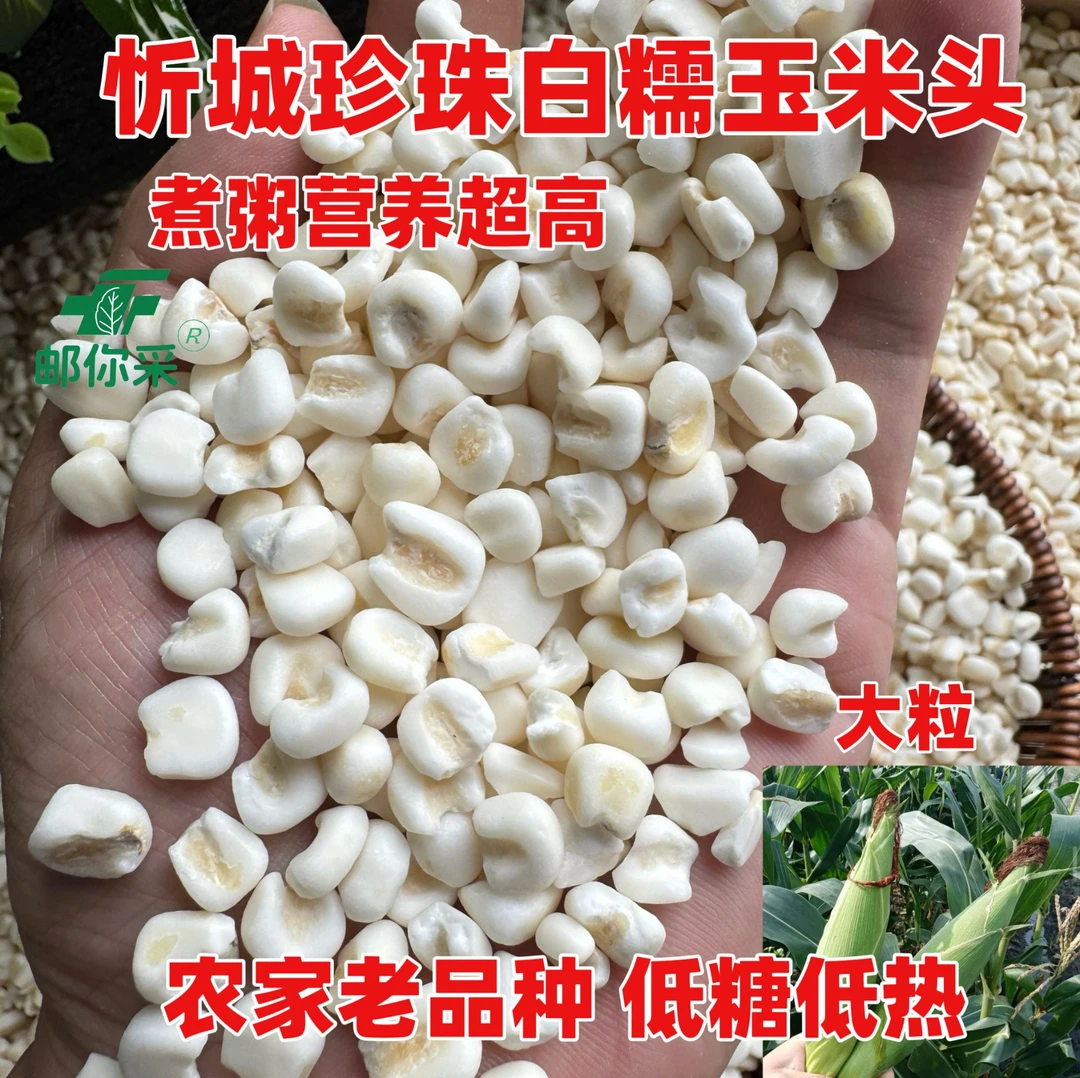 广西忻城农家老品种珍珠白糯玉米头碴碎糁去皮煮粥杂粗粮低糖营养