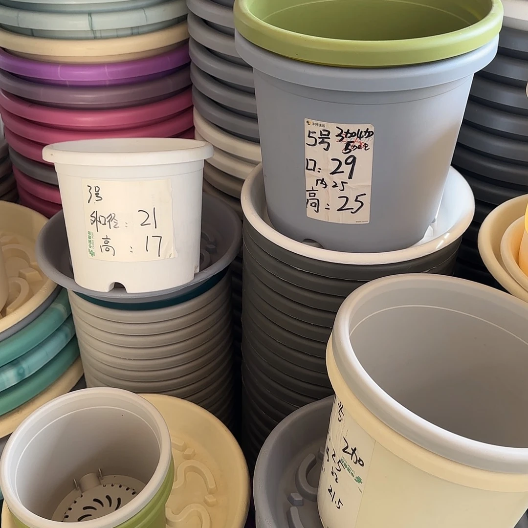 树脂四季9号无托4个颜色留言