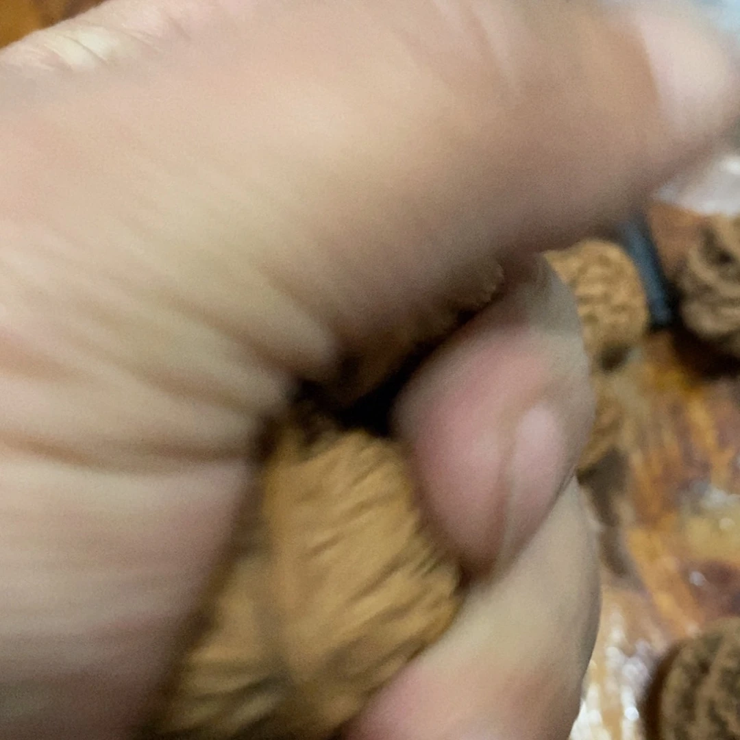秦岭森林中发现过几
