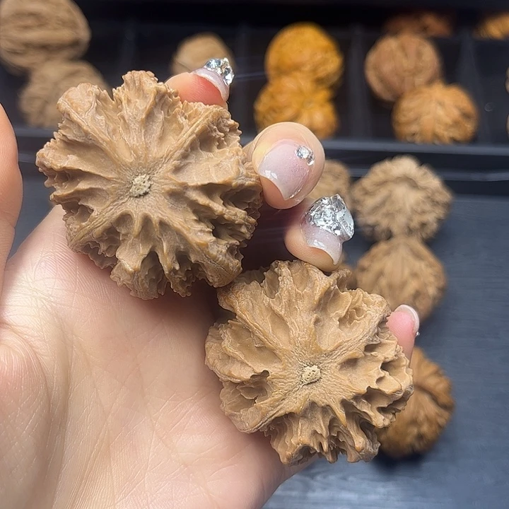 核桃秦岭山脉中段怒江与澜沧江