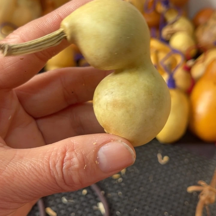 酒***子葫芦葫哈哈哈哈哈哈