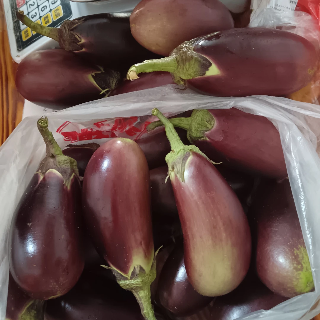 湖南衡东本地农家自种新鲜茄子