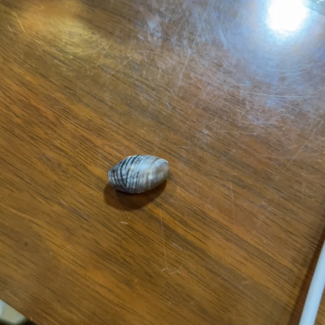 藏地密码,藏式珠子c8