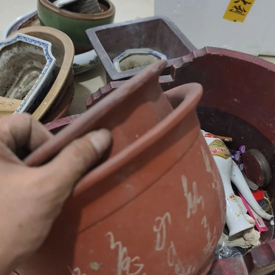 小***建扇子来来来来来来看看咯了