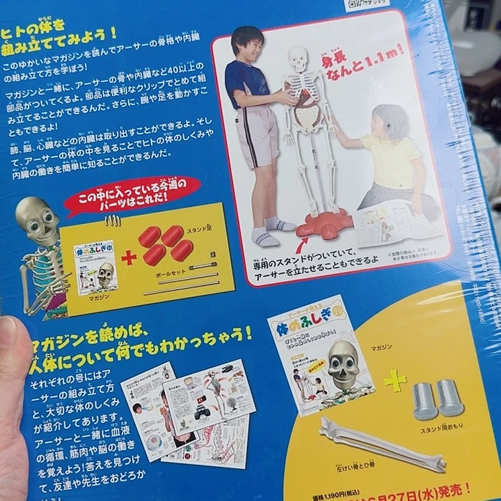 瓷片啊啊啊啊啊啊啊啊啊啊啊