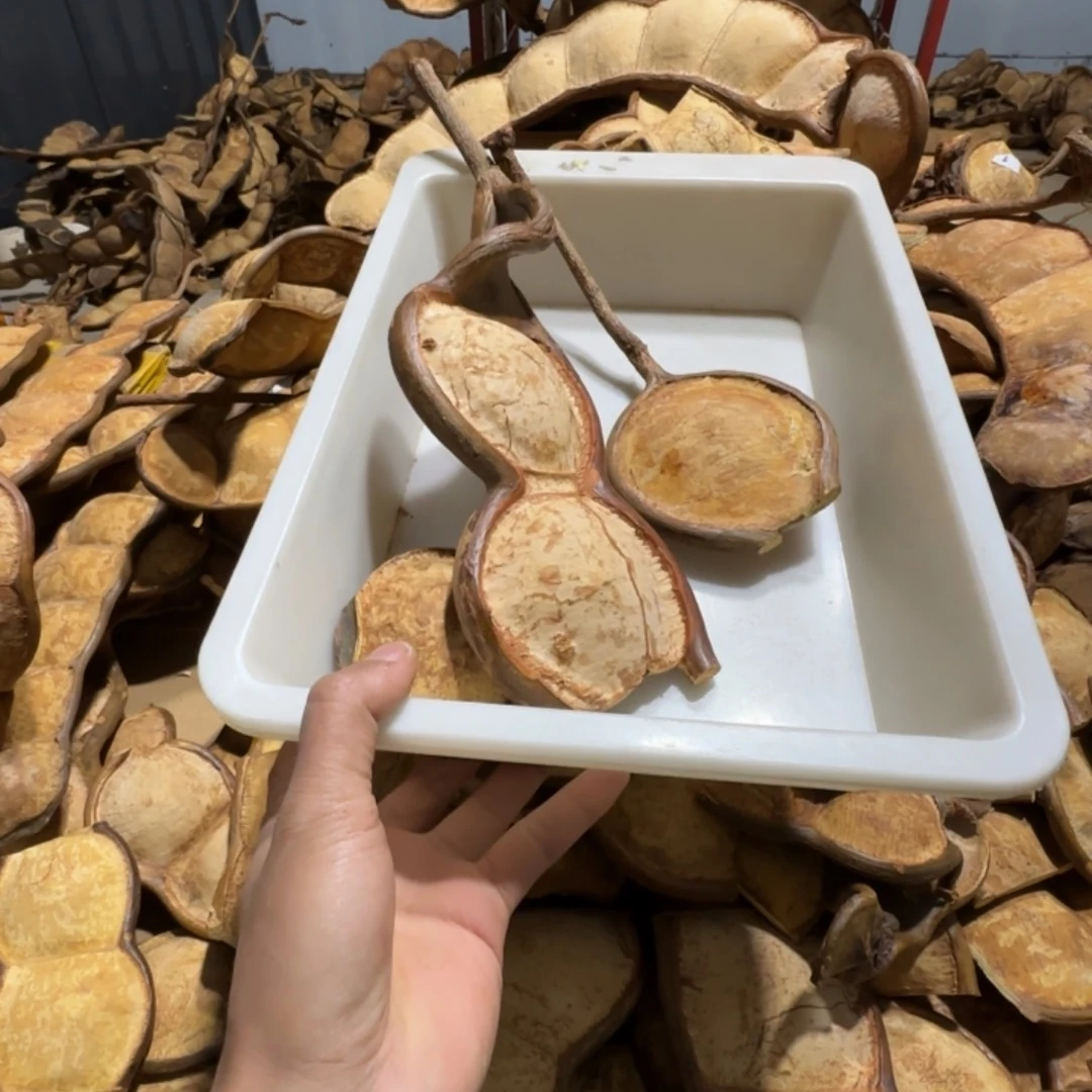 傅***淇榼藤豆荚手工制作摆件家居客厅装饰品