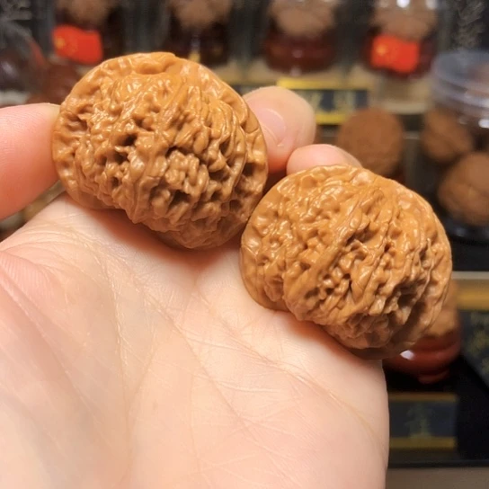 野生小众：第一矮