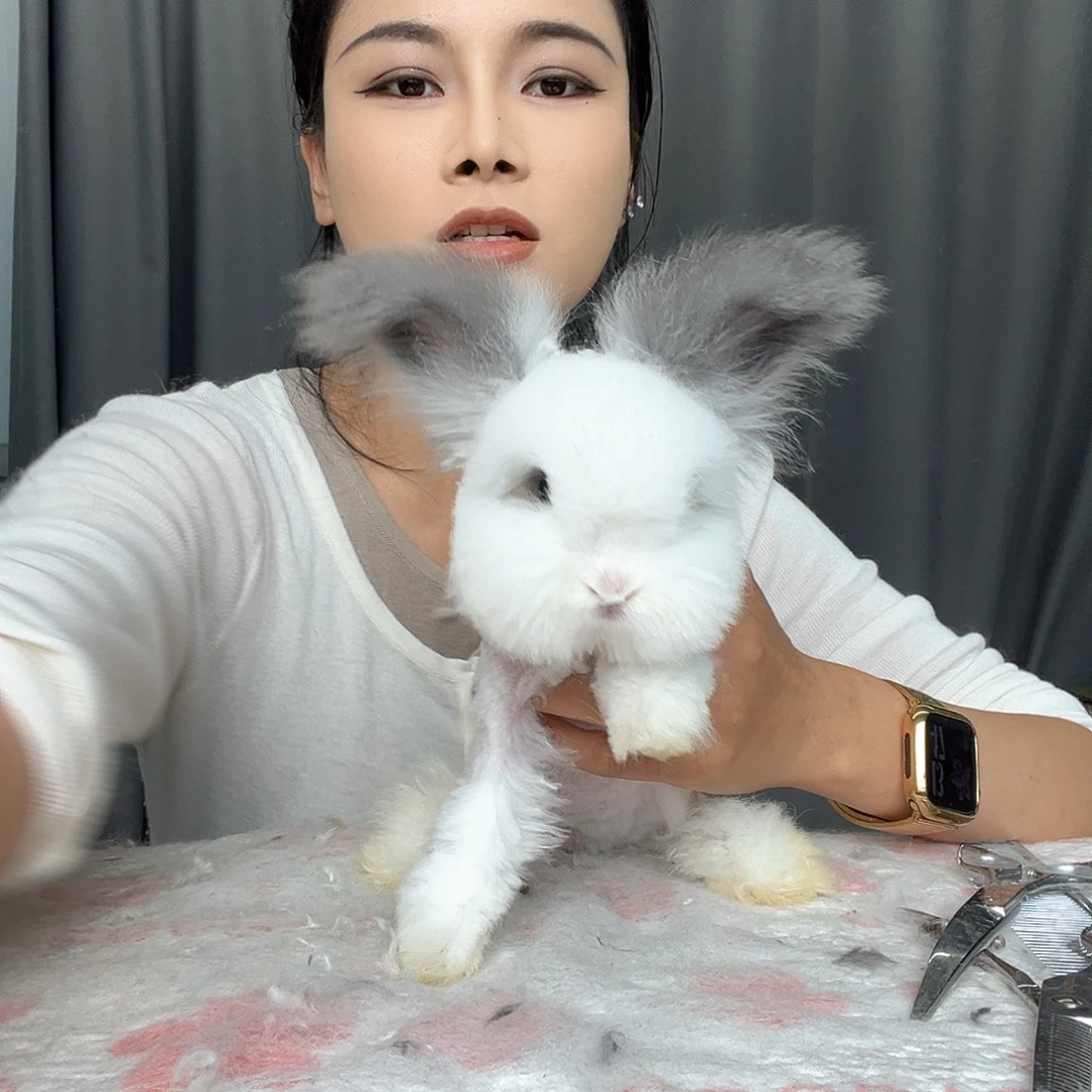 母星黛露净碎妹妹两个月内