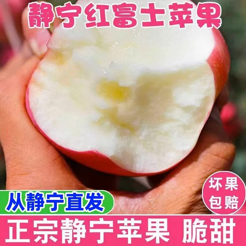 正宗静宁红富士苹果水果冰糖心苹果脆甜多汁产地直发现摘新鲜苹果