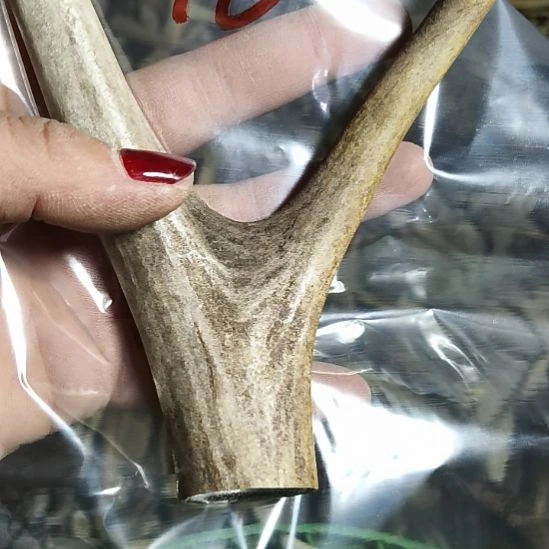 平***士鹿角鹿角鹿角鹿角鹿角鹿角