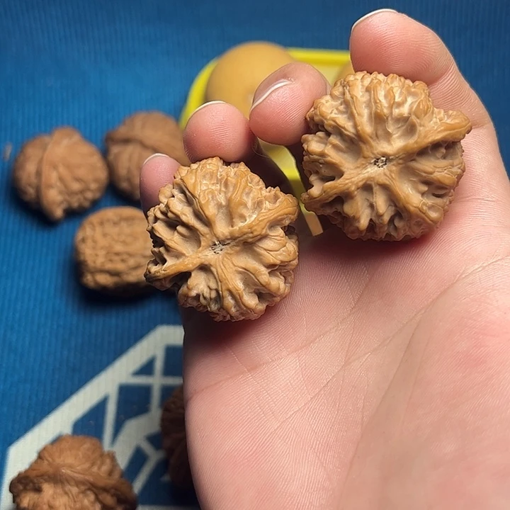 核桃39尺全品苹果园