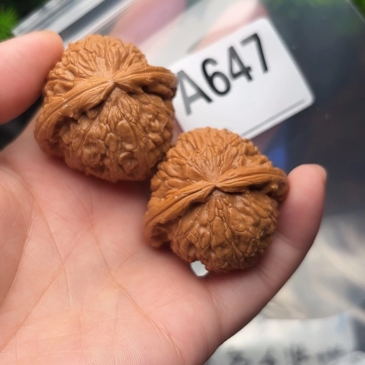 把件桃核核桃白狮子40