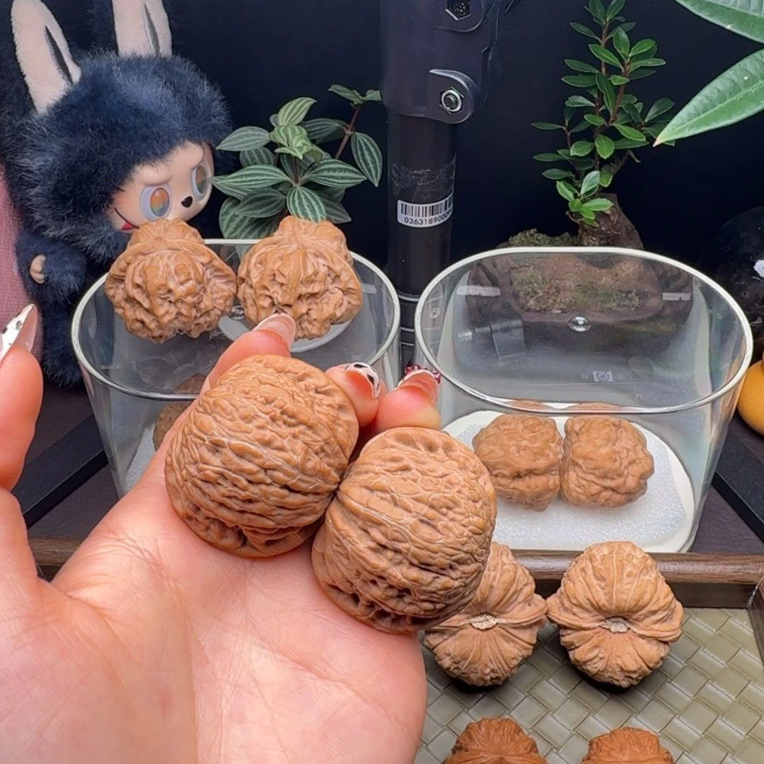 龙脊菩提把件全品铁锤41