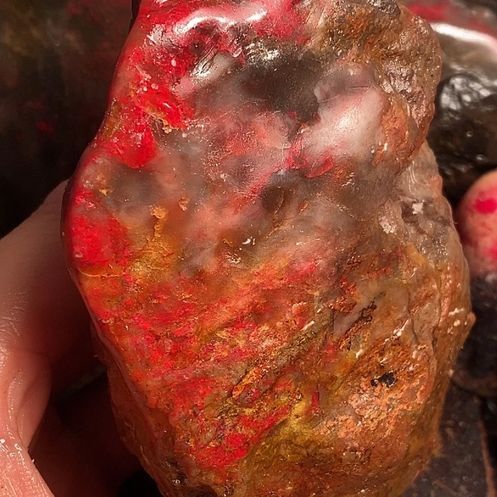 1***熊大叶紫檀（黑酸枝木类）