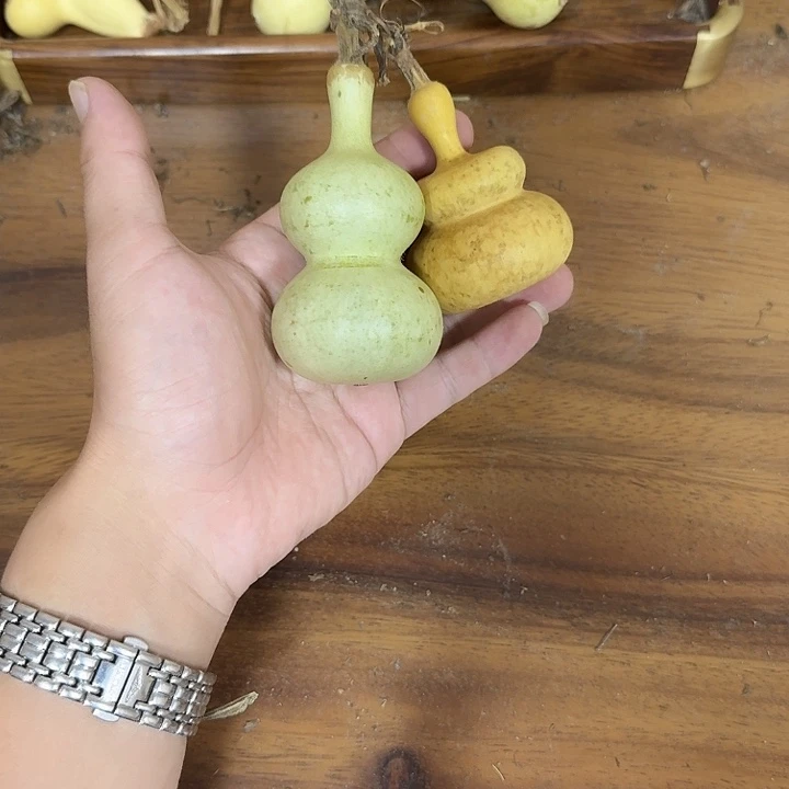 青***春ivivivobobobonppnpnpn