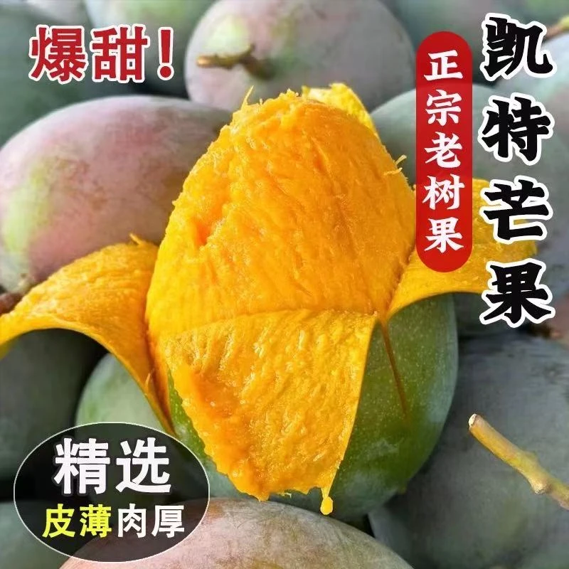 【现摘速发】正宗攀枝花凯特芒大芒果甜心芒新鲜水果  放软吃W