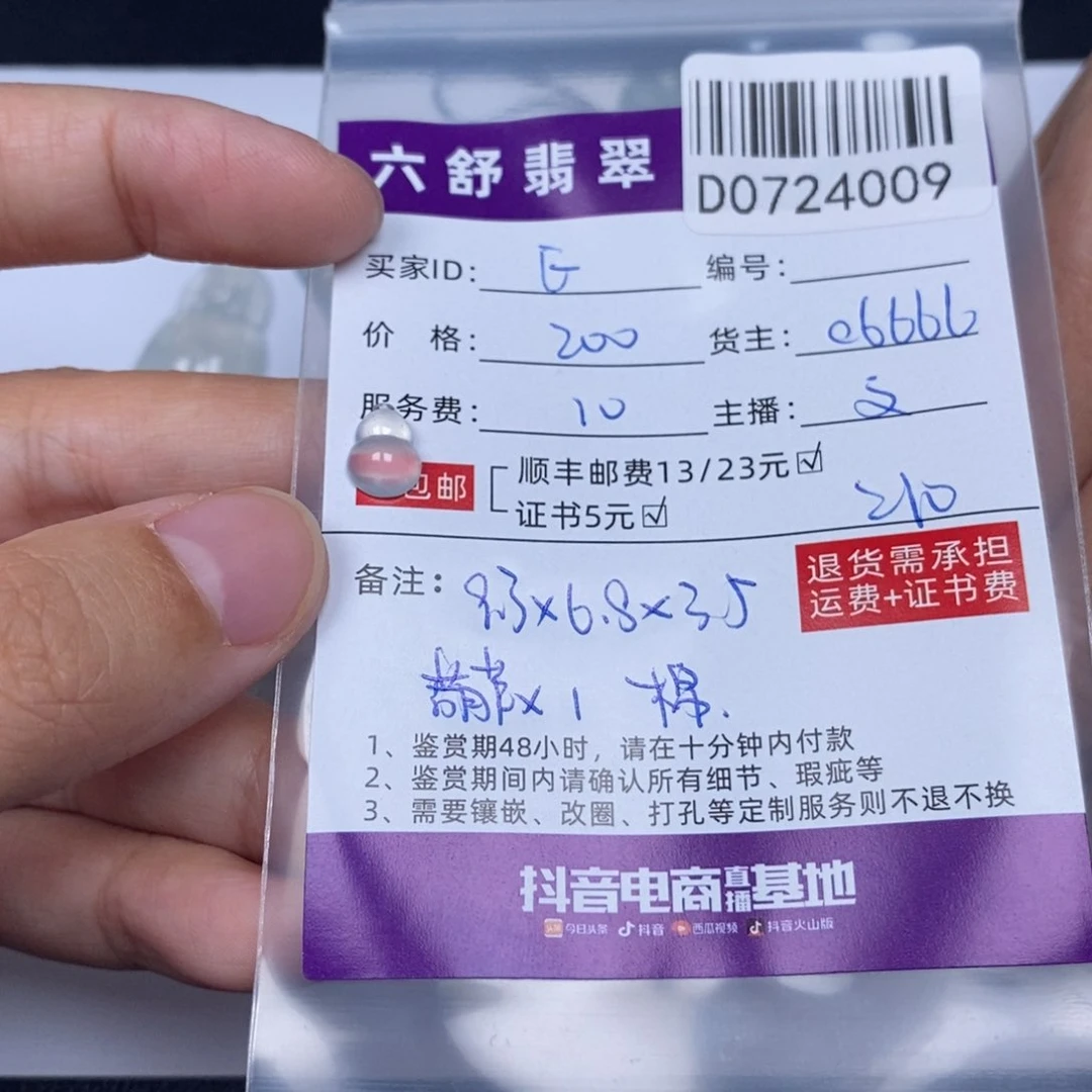 E***5翡翠挂件未镶嵌D0724009