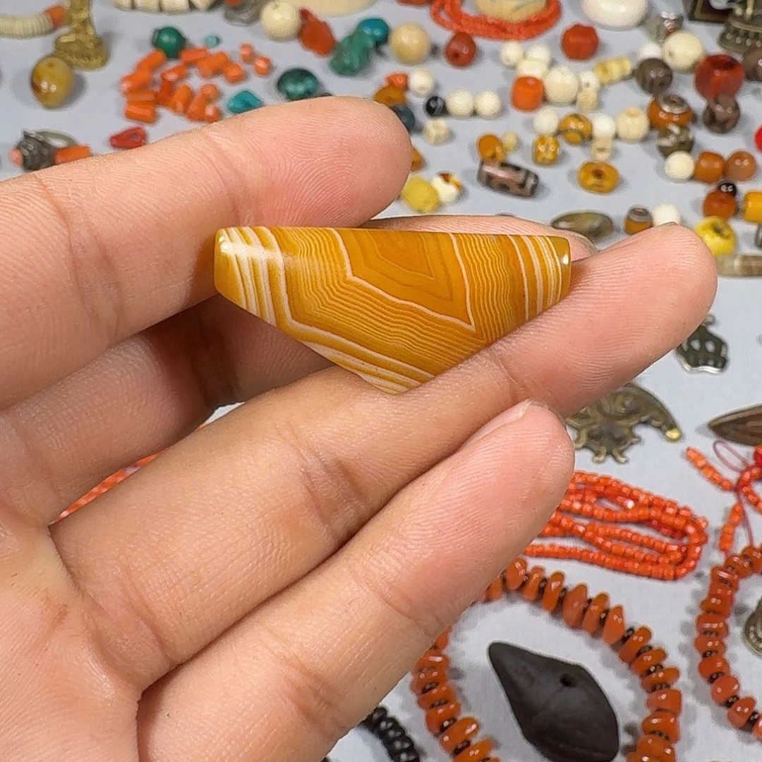 黑果木勒*睿珠子漂亮的