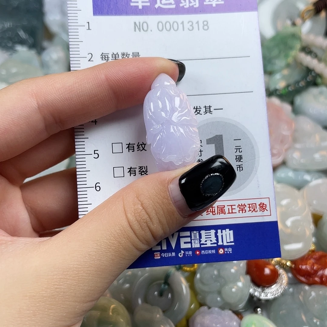 翡翠未镶嵌颈饰1318