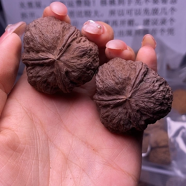 核桃云南野生铁核桃101号38mm