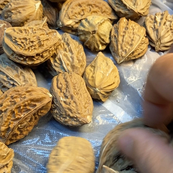 吊坠文玩核桃娜姐90