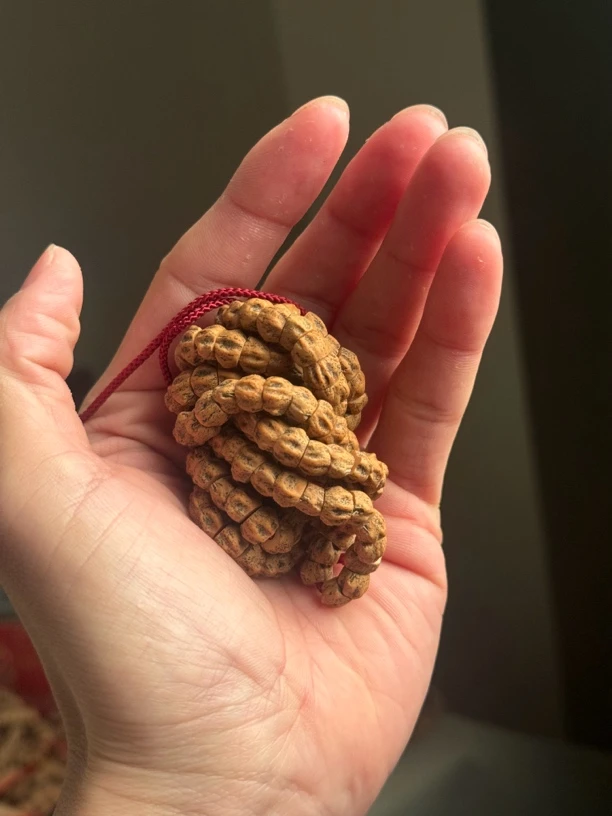 热振柏香籽满鬼红油皮精工肠