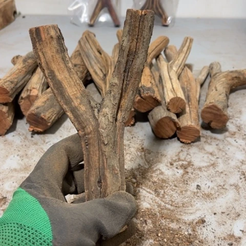 大果紫檀（缅甸花梨）秦*子