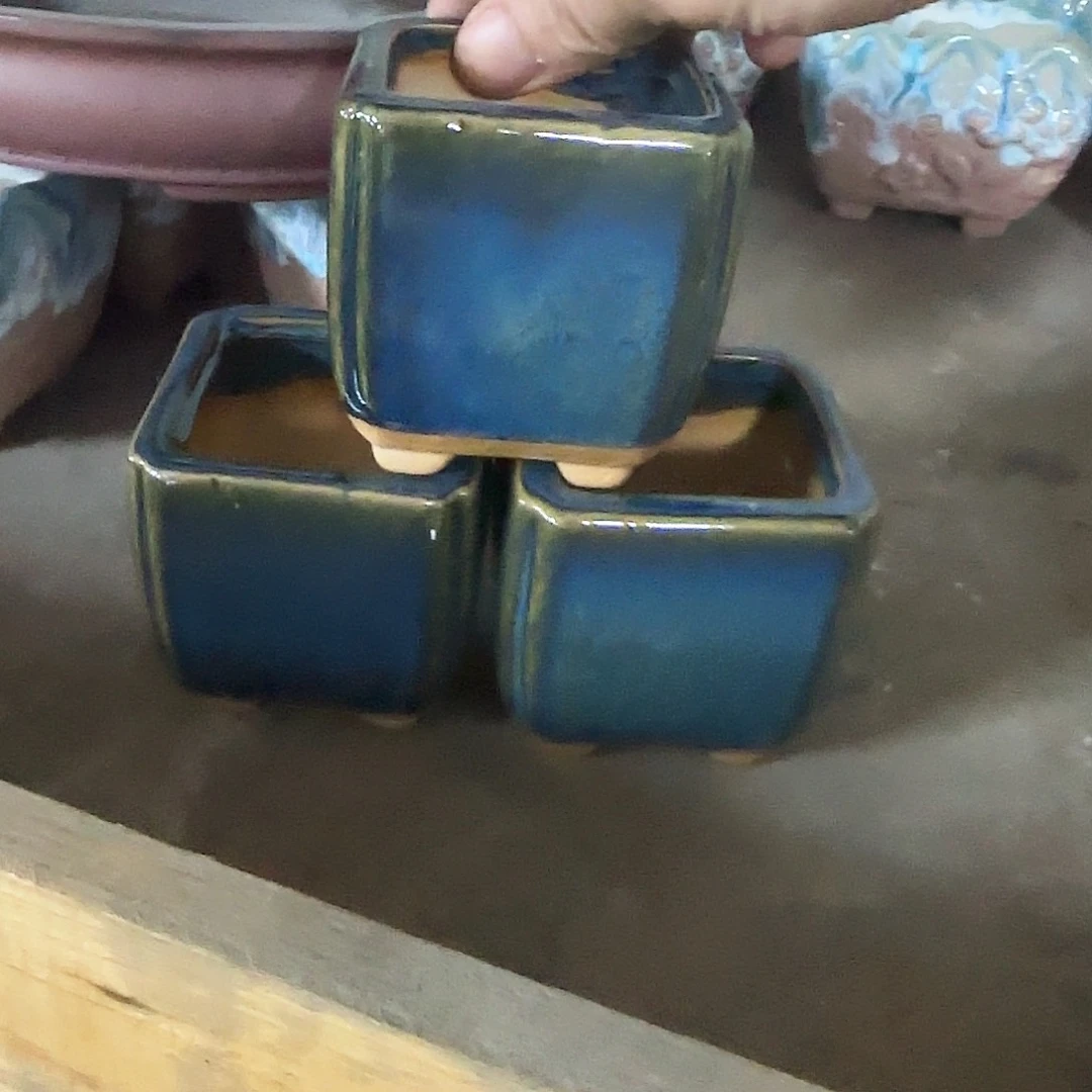 3个福利局库存尾单·有孔花盆当天满9元发