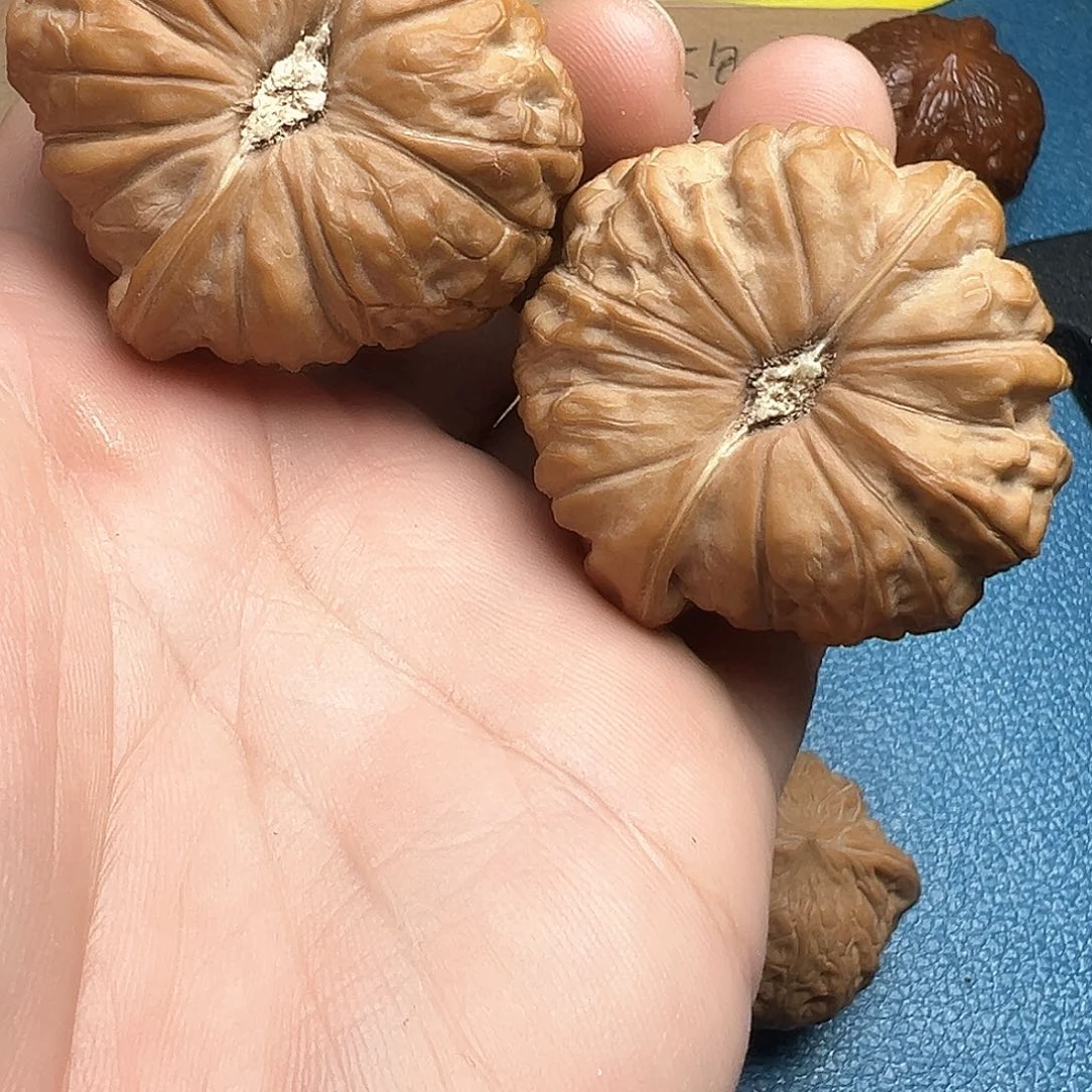 文玩核桃把件嘉*45南瓜