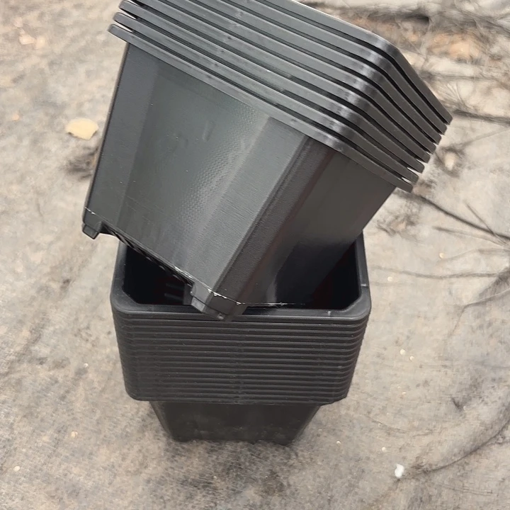 120黑方盆11公分高8公分12个