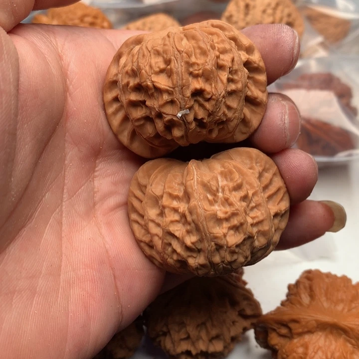平***扣大叶紫檀（黑酸枝木类）