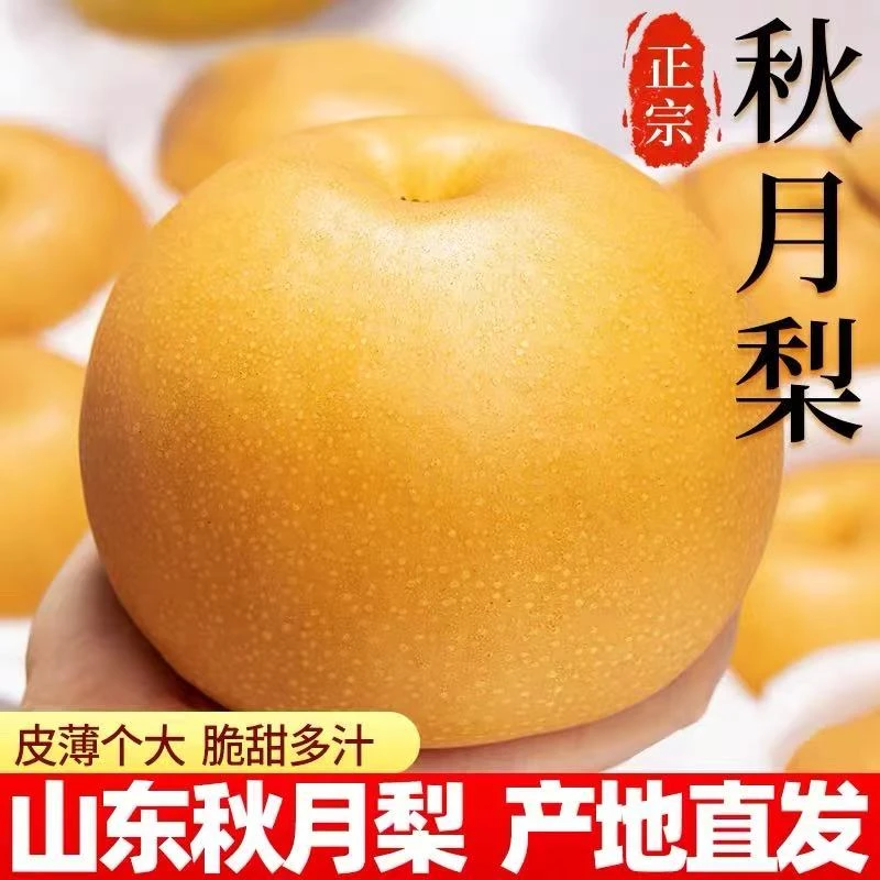 【山东】正宗秋月梨当季新鲜4.5斤装汁多香甜