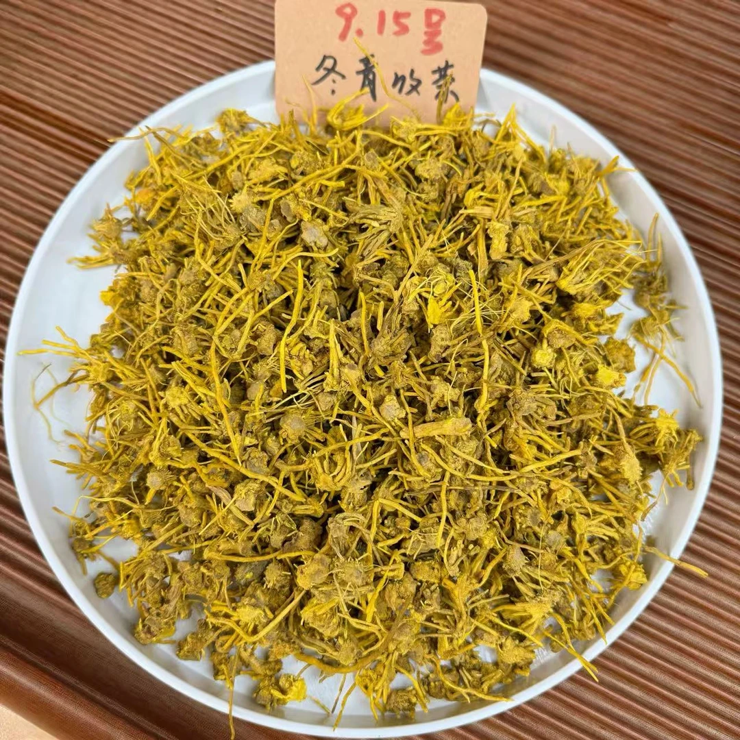 金丝佛手茶 穿山龙 唐古拉山脉核心产区 冬青收茶