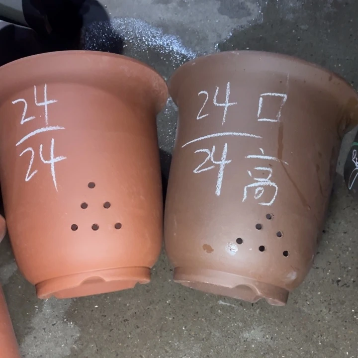 周深周深周深周深