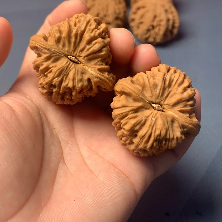 大***鹏文玩核桃吊坠南疆