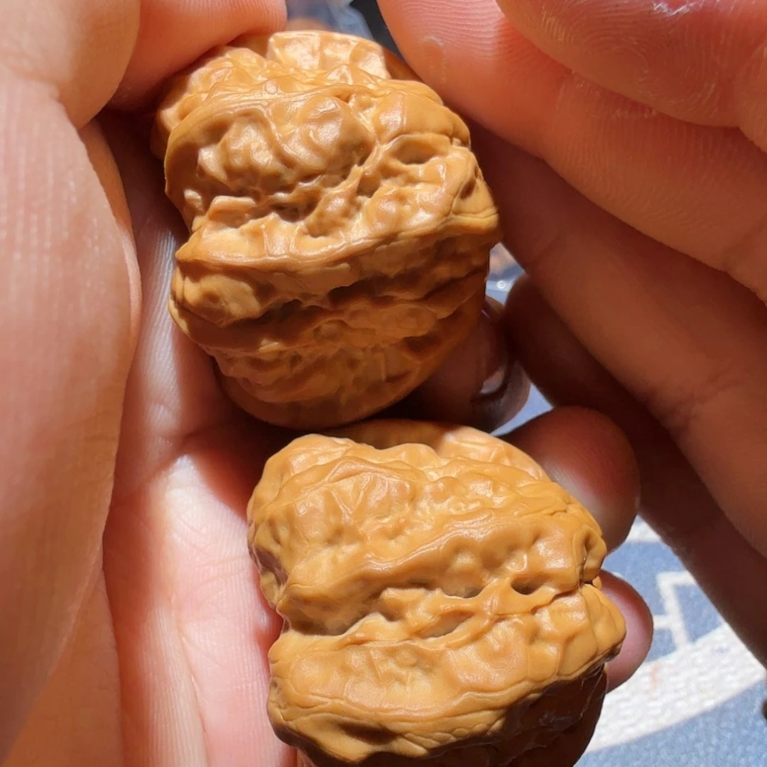 文玩核桃把件金蟾