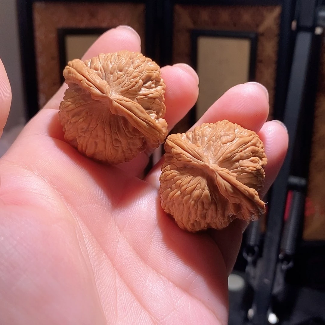 文玩核桃把件40白狮子全品