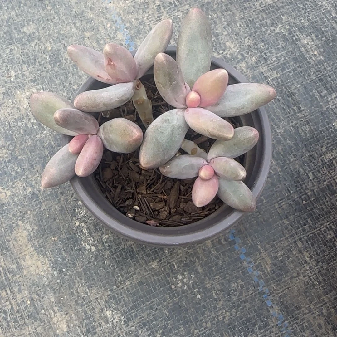 是是是是是是是是是