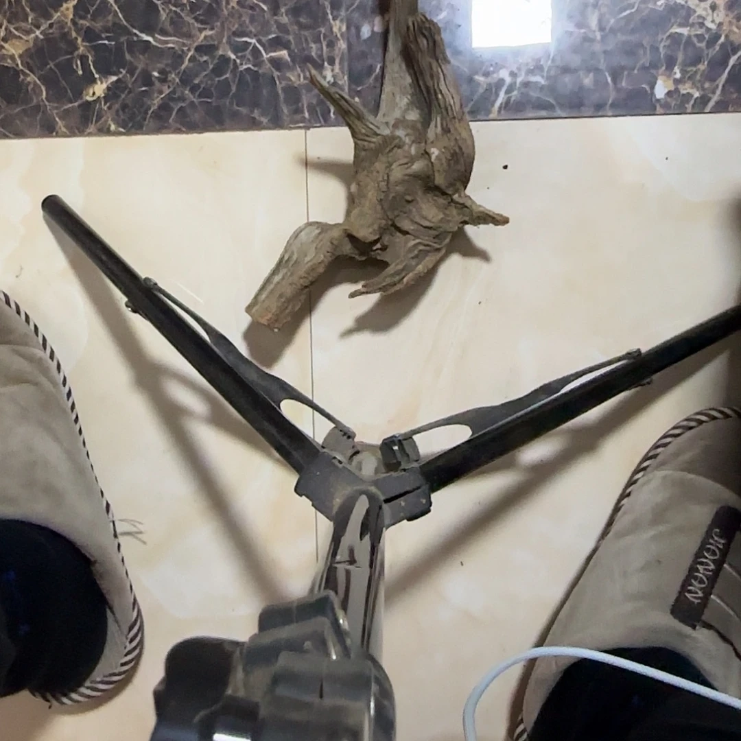 阿***雕木陈化到位坨坨疙瘩