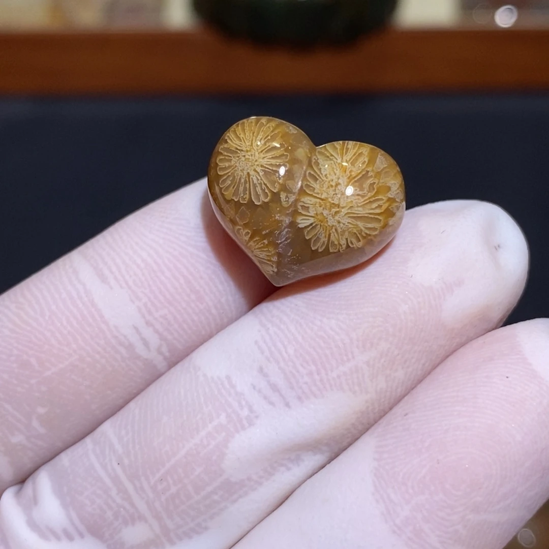 【闪购商品】未镶嵌珊瑚玉硅化玉