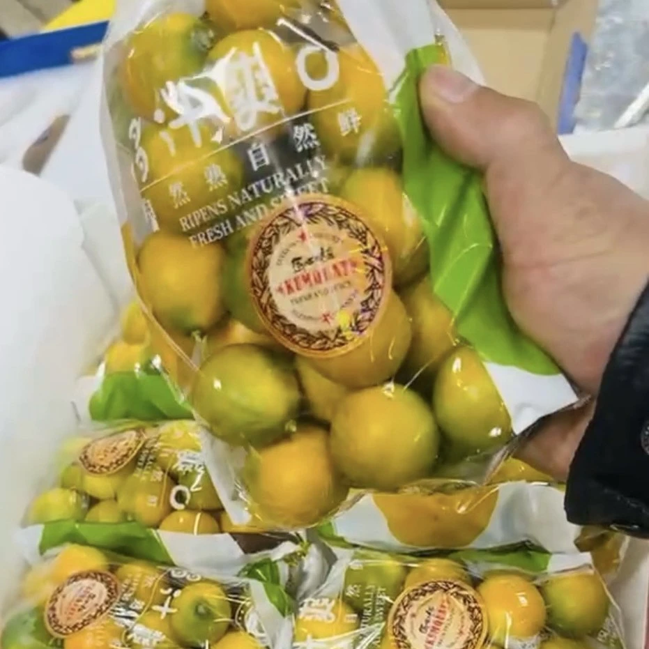 匠心级金柑490g一袋
