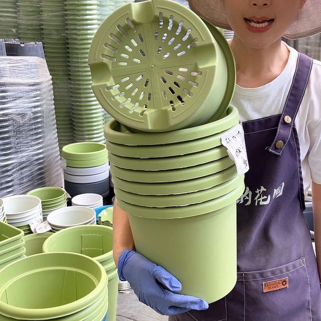 四季盆4#果绿色8个含托