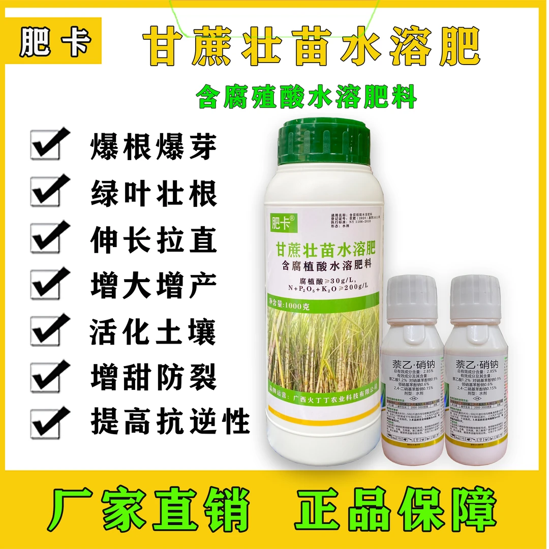 肥卡新根蔗宿根蔗爆根爆芽拉长拉直增大增粗提高抗逆性甘蔗水溶肥