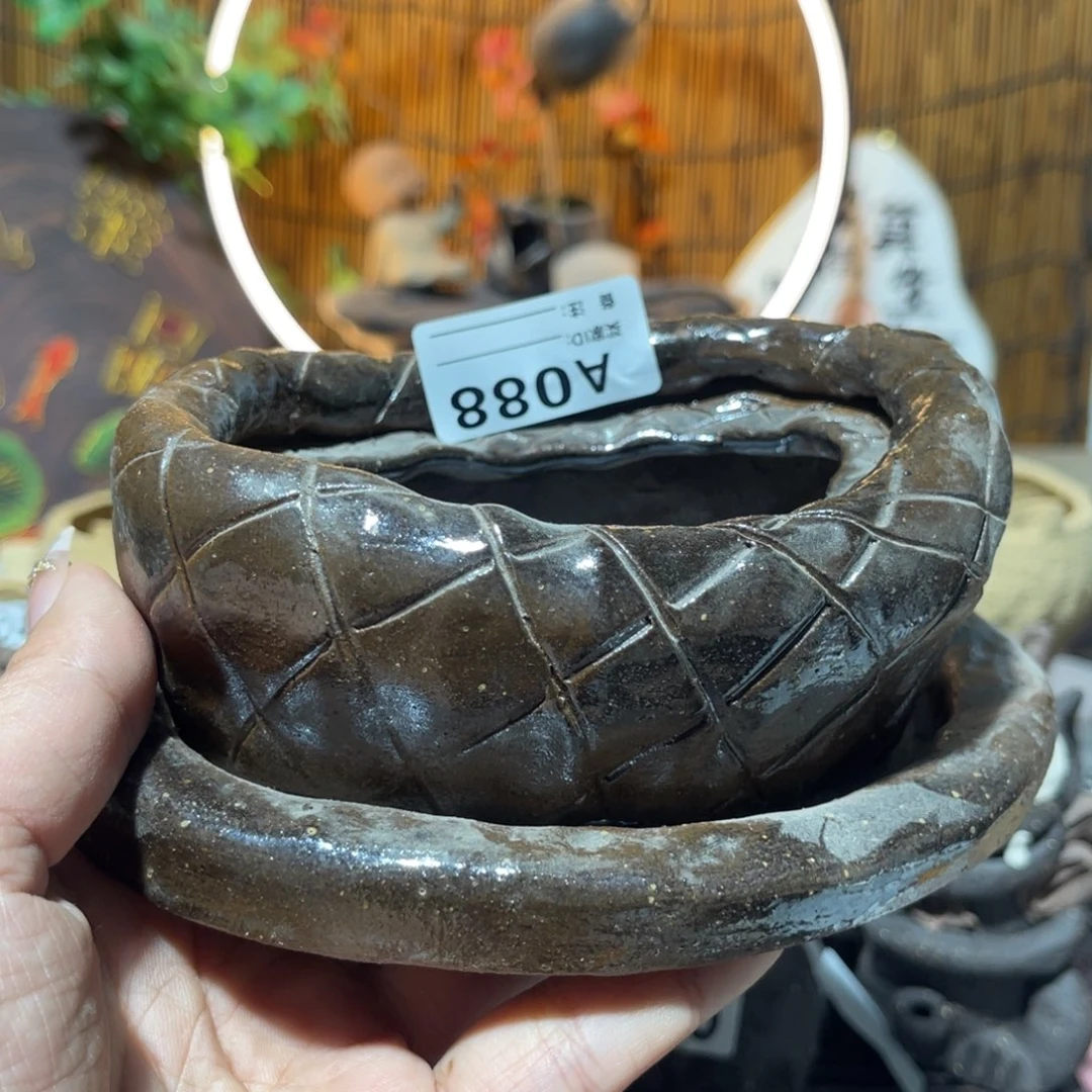 木村信弘柴烧保平