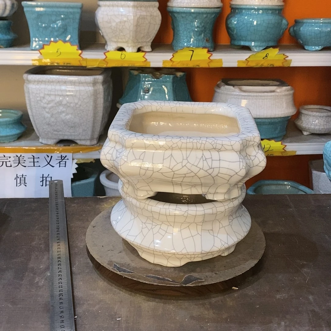 伊**真花盆花盆里的花