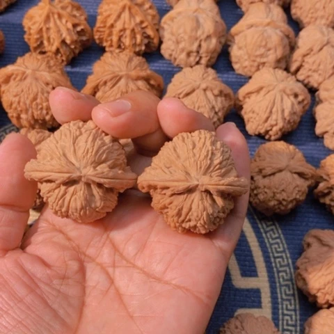【闪购商品】吊坠文玩核桃始**见白狮子42反油