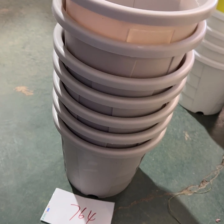 编号764无托微瑕口径22