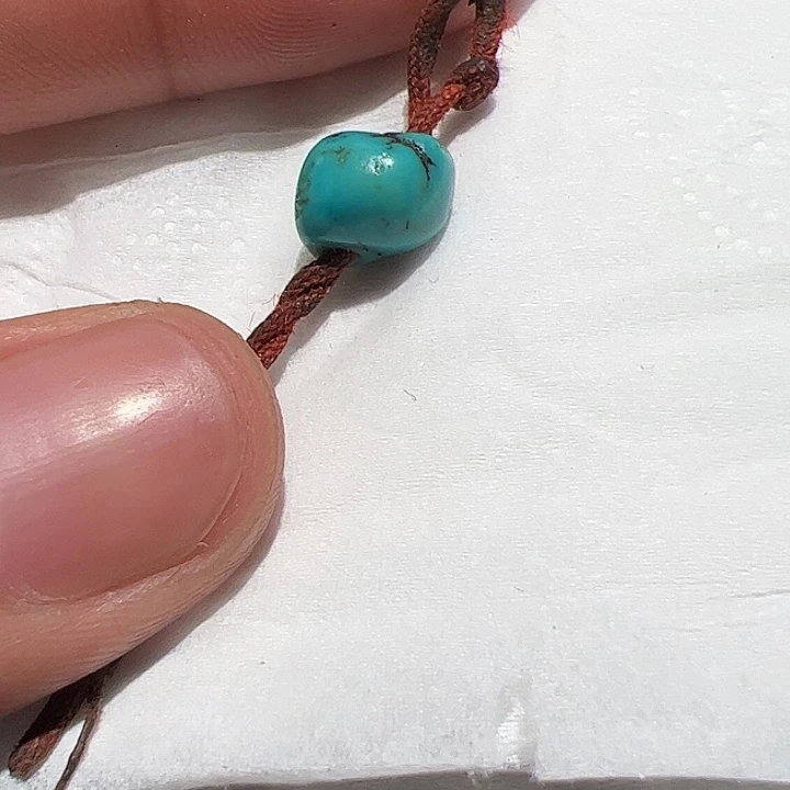 香榧木你是否也有