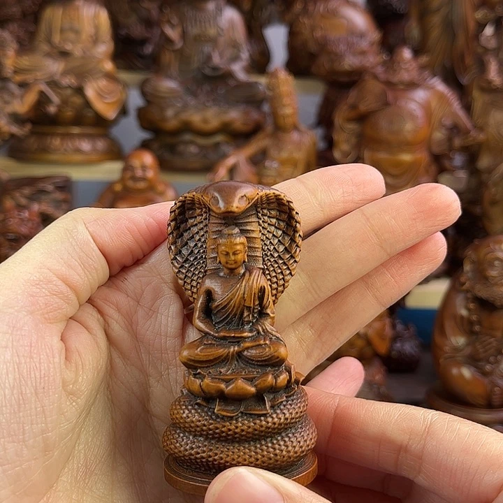 黄杨木小叶黄杨木